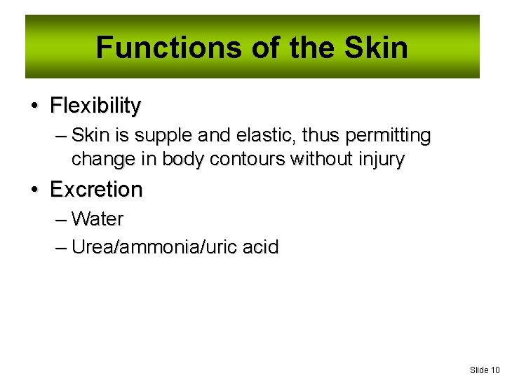 Functions of the Skin • Flexibility – Skin is supple and elastic, thus permitting