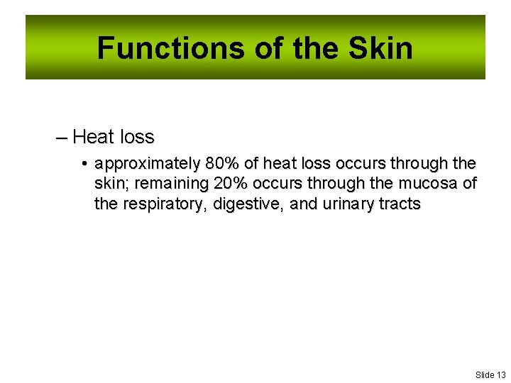 Functions of the Skin – Heat loss • approximately 80% of heat loss occurs
