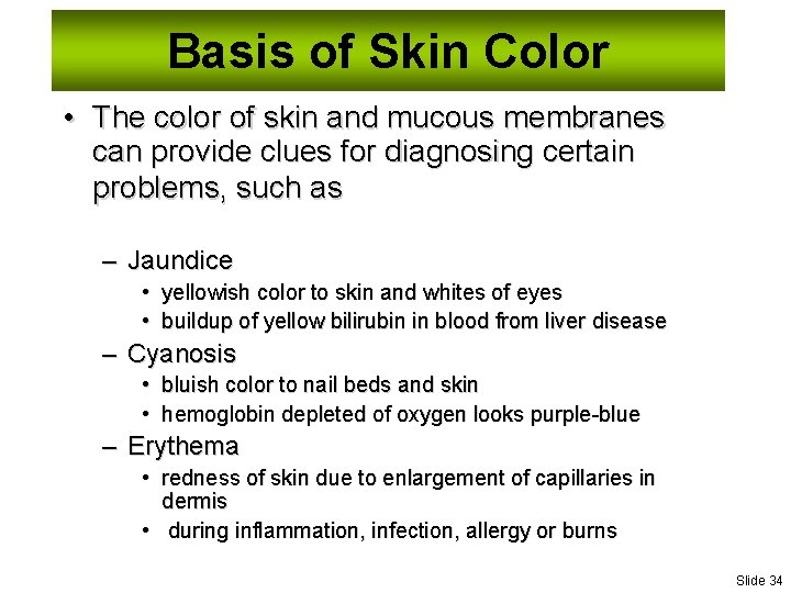 Basis of Skin Color • The color of skin and mucous membranes can provide