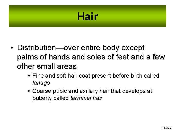 Hair • Distribution—over entire body except palms of hands and soles of feet and