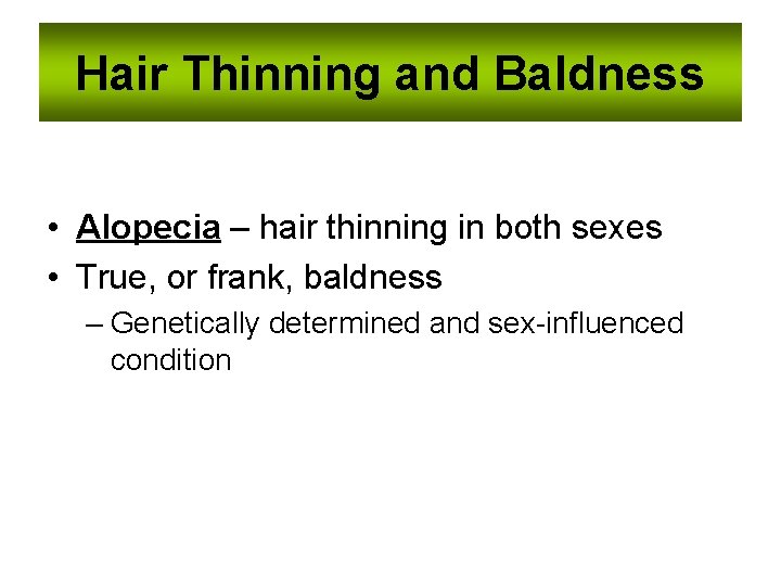 Hair Thinning and Baldness • Alopecia – hair thinning in both sexes • True,