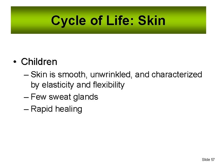 Cycle of Life: Skin • Children – Skin is smooth, unwrinkled, and characterized by