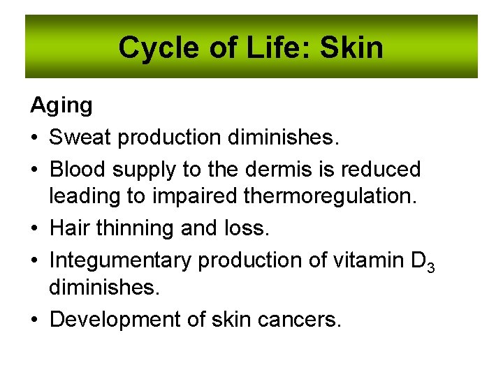 Cycle of Life: Skin Aging • Sweat production diminishes. • Blood supply to the
