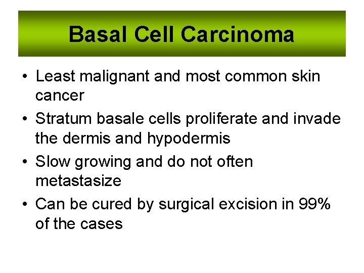 Basal Cell Carcinoma • Least malignant and most common skin cancer • Stratum basale
