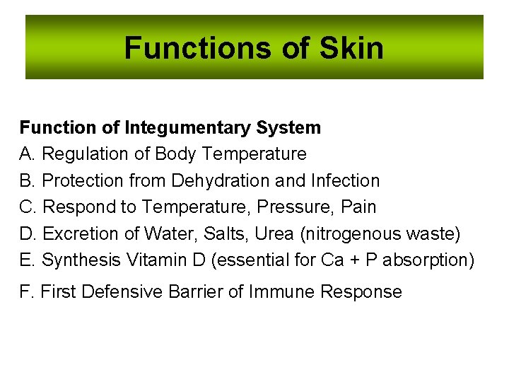 Functions of Skin Function of Integumentary System A. Regulation of Body Temperature B. Protection