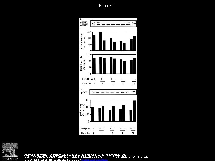 Figure 5 Journal of Biological Chemistry 2000 27539507 -39515 DOI: (10. 1074/jbc. M 003224200)