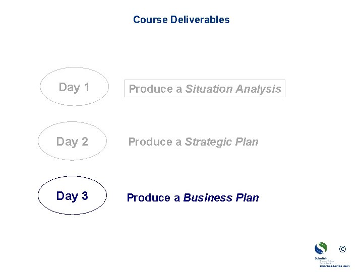 Course Deliverables Day 1 Produce a Situation Analysis Day 2 Produce a Strategic Plan