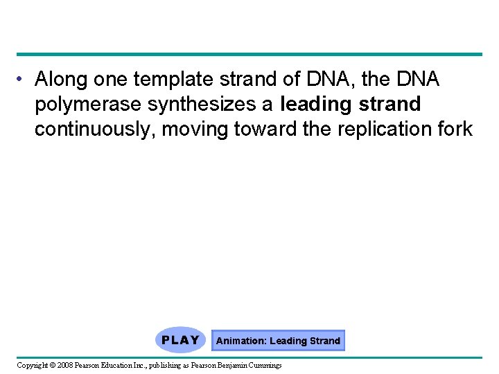  • Along one template strand of DNA, the DNA polymerase synthesizes a leading