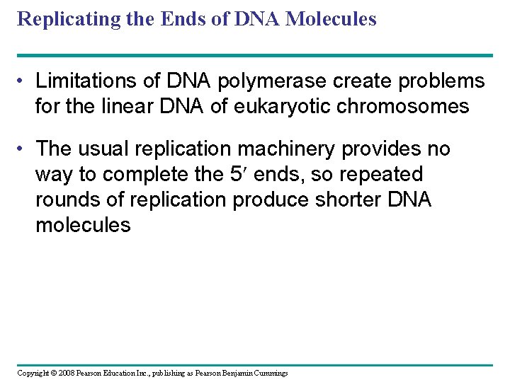 Replicating the Ends of DNA Molecules • Limitations of DNA polymerase create problems for