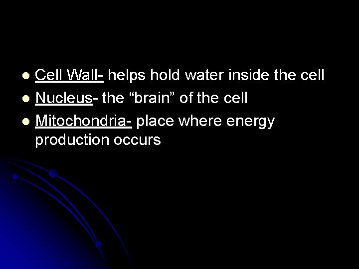 Cell Wall- helps hold water inside the cell l Nucleus- the “brain” of the