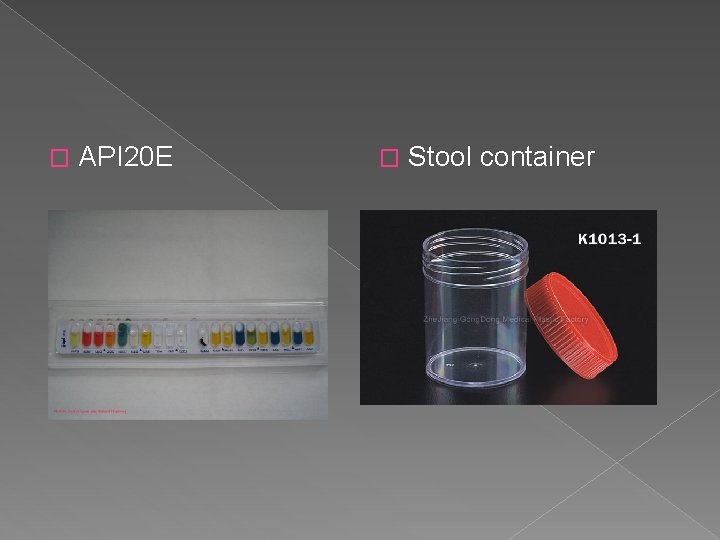 � API 20 E � Stool container 