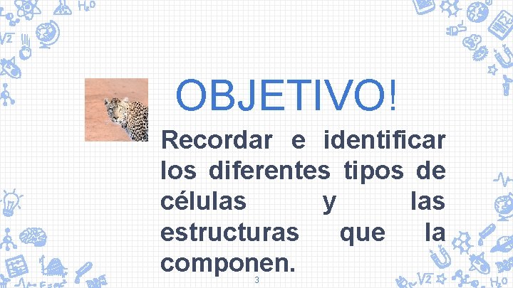 OBJETIVO! Recordar e identificar los diferentes tipos de células y las estructuras que la