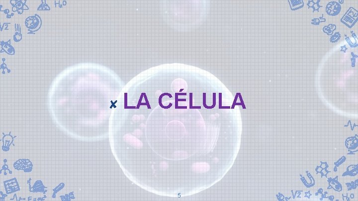 ✘ LA CÉLULA 5 