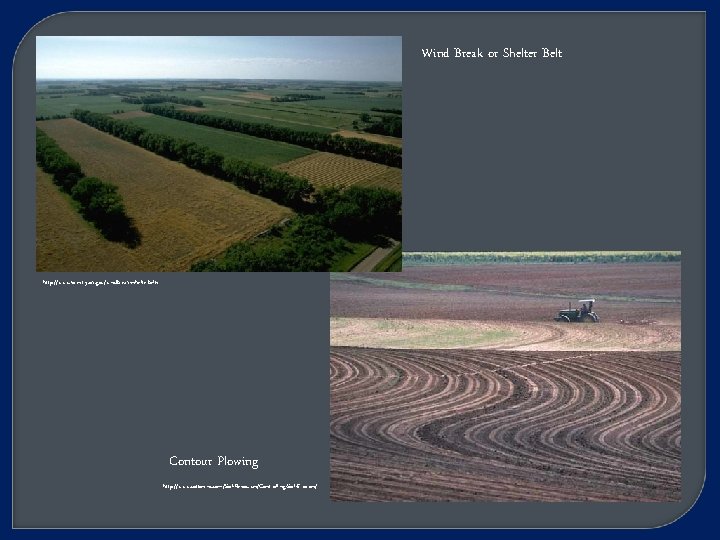 Wind Break or Shelter Belt http: //www. forestry. ok. gov/windbreaks-shelterbelts Contour Plowing http: //www.