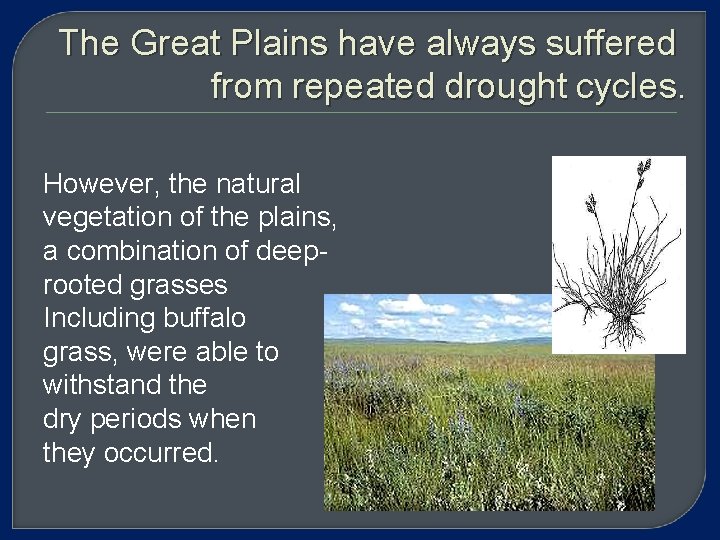 The Great Plains have always suffered from repeated drought cycles. However, the natural vegetation
