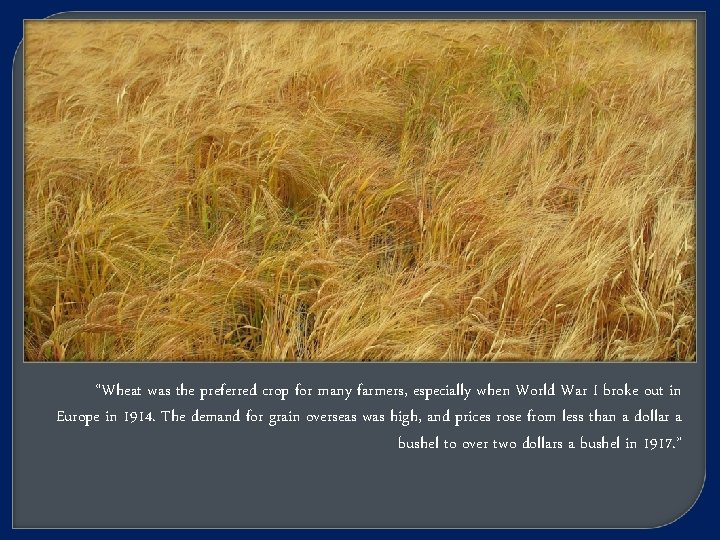 “Wheat was the preferred crop for many farmers, especially when World War I broke