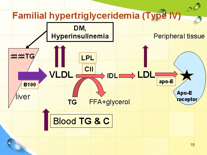 Familial hypertriglyceridemia (Type IV) DM, Hyperinsulinemia hh. TG LPL VLDL CII IDL B 100