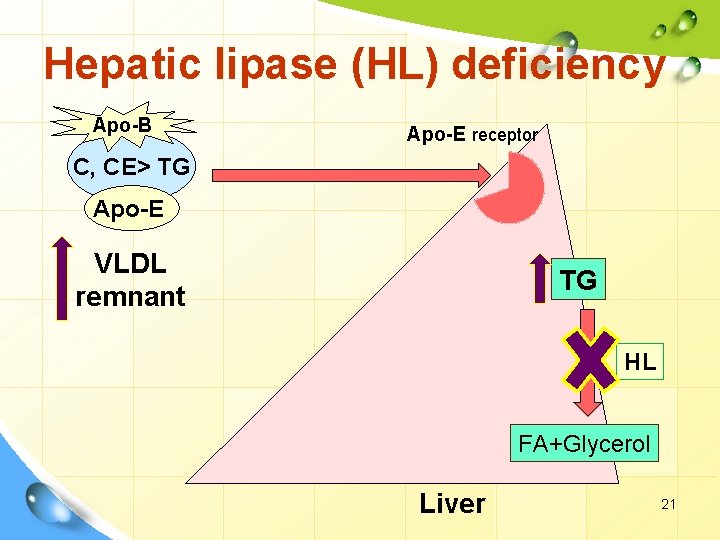 Hepatic lipase (HL) deficiency Apo-B Apo-E receptor C, CE> TG Apo-E VLDL remnant TG