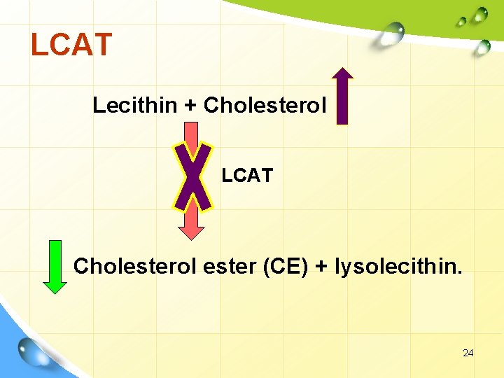 LCAT Lecithin + Cholesterol LCAT Cholesterol ester (CE) + lysolecithin. 24 
