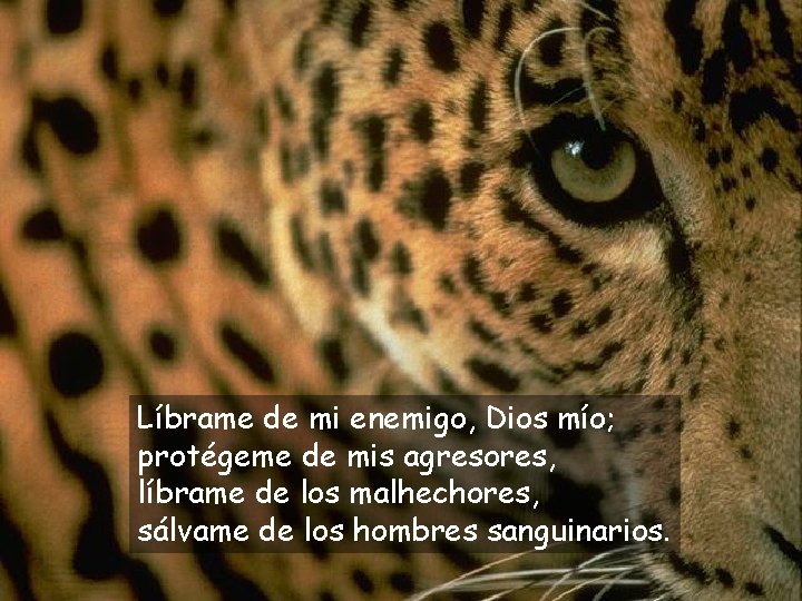 Líbrame de mi enemigo, Dios mío; protégeme de mis agresores, líbrame de los malhechores,