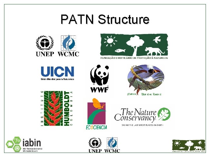 PATN Structure 