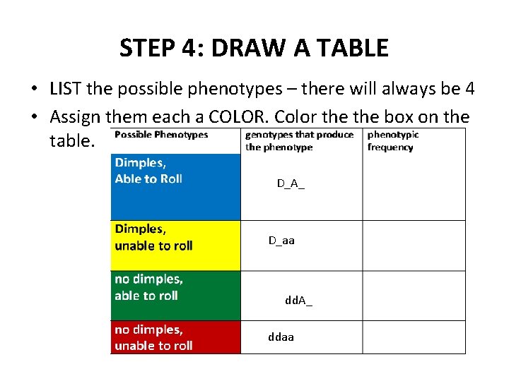 STEP 4: DRAW A TABLE • LIST the possible phenotypes – there will always