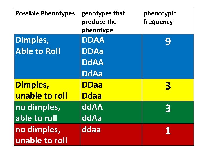 Possible Phenotypes genotypes that produce the phenotype Dimples, Able to Roll Dimples, unable to