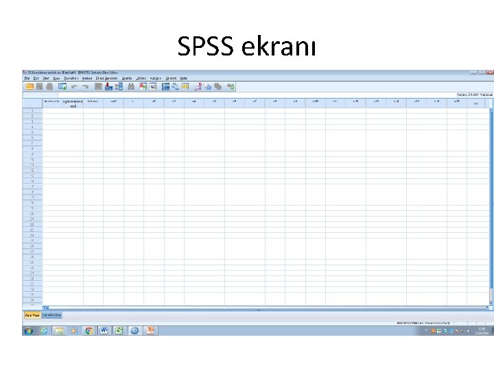 SPSS ekranı 