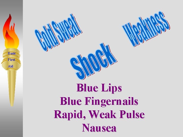 Basic First Aid Blue Lips Blue Fingernails Rapid, Weak Pulse Nausea 