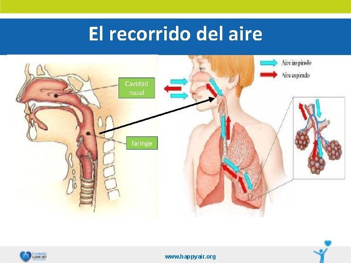 El recorrido del aire www. happyair. org 
