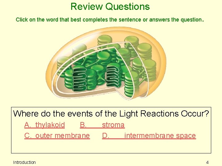 Review Questions Click on the word that best completes the sentence or answers the