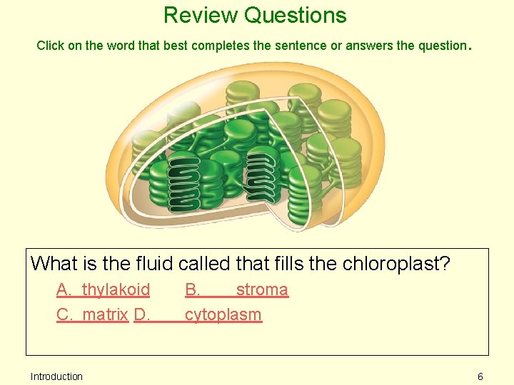 Review Questions Click on the word that best completes the sentence or answers the