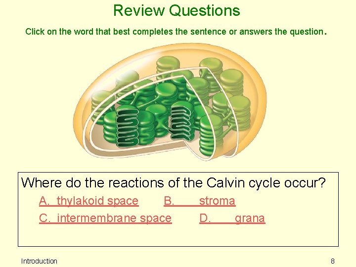 Review Questions Click on the word that best completes the sentence or answers the