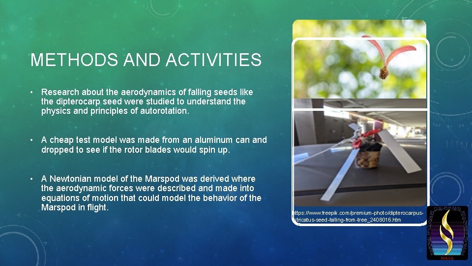 METHODS AND ACTIVITIES • Research about the aerodynamics of falling seeds like the dipterocarp