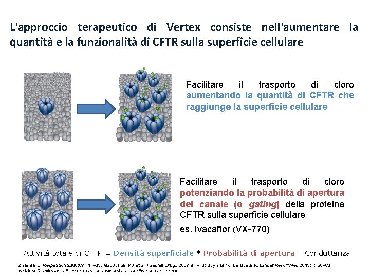L'approccio terapeutico di Vertex consiste nell'aumentare la quantità e la funzionalità di CFTR sulla