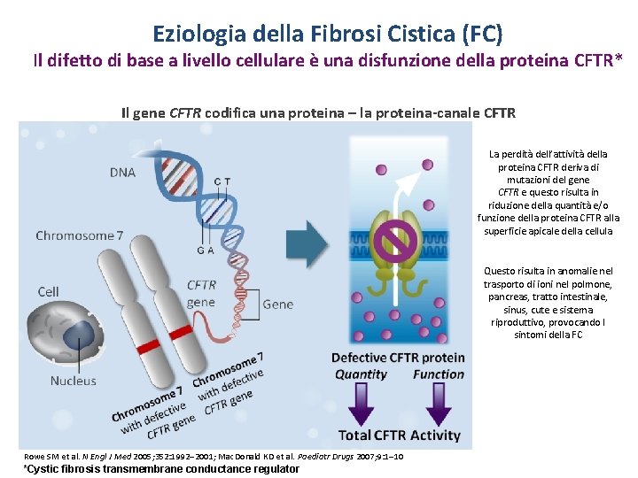 Eziologia della Fibrosi Cistica (FC) Il difetto di base a livello cellulare è una