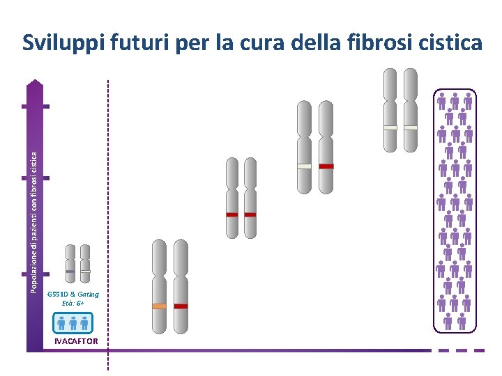 Popolazione di pazienti con fibrosi cistica Sviluppo di nuovi modulatori del CFTR Sviluppi futuri