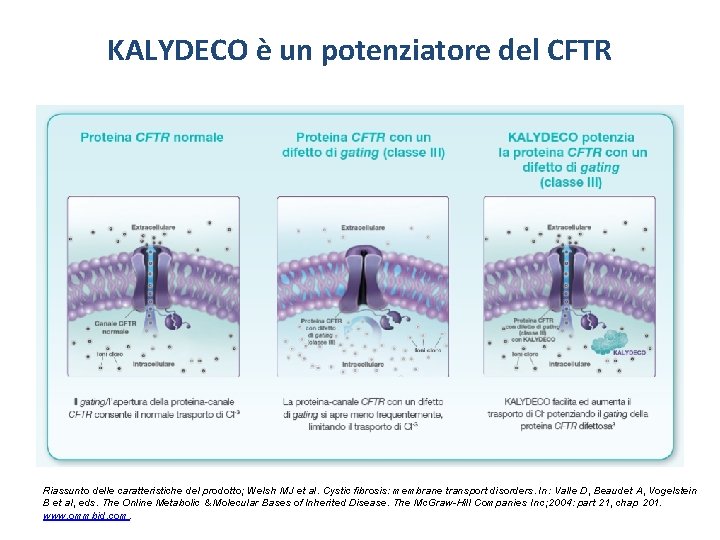 KALYDECO è un potenziatore del CFTR Riassunto delle caratteristiche del prodotto; Welsh MJ et