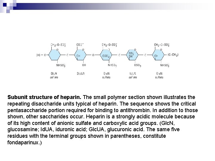 Subunit structure of heparin. The small polymer section shown illustrates the repeating disaccharide units