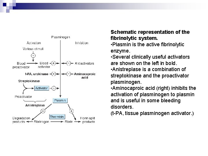 Schematic representation of the fibrinolytic system. • Plasmin is the active fibrinolytic enzyme. •