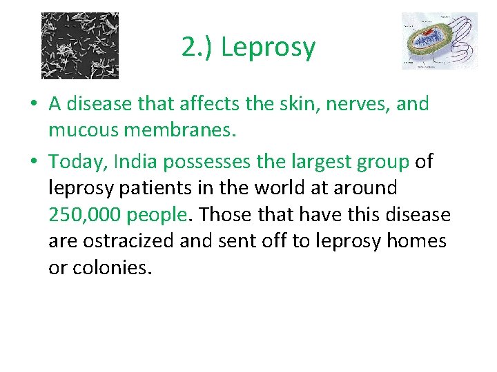 2. ) Leprosy • A disease that affects the skin, nerves, and mucous membranes.