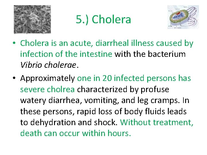 5. ) Cholera • Cholera is an acute, diarrheal illness caused by infection of