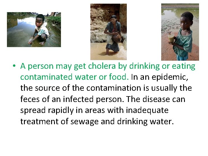  • A person may get cholera by drinking or eating contaminated water or