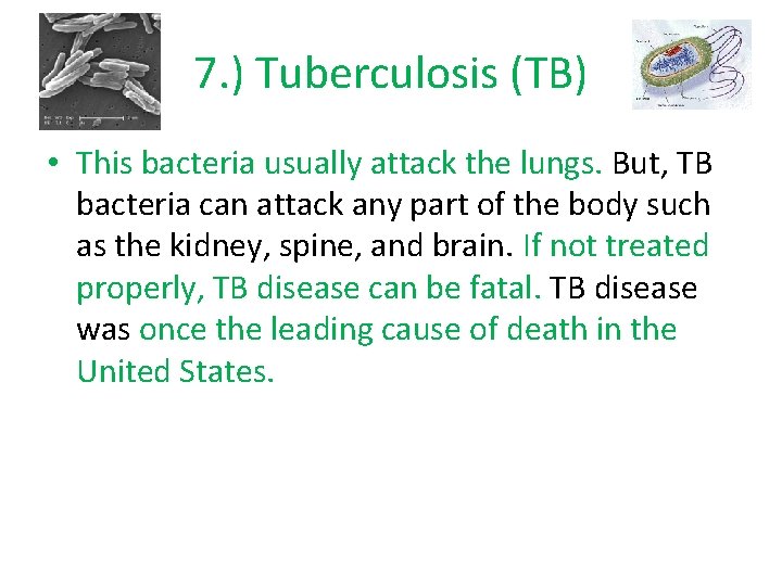 7. ) Tuberculosis (TB) • This bacteria usually attack the lungs. But, TB bacteria