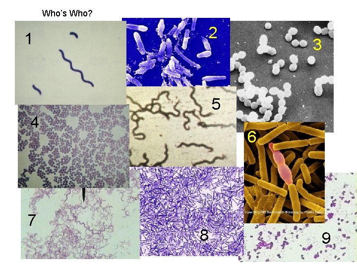 Who’s Who? 2 1 3 5 4 7 6 8 9 