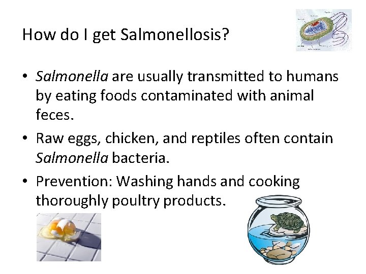 How do I get Salmonellosis? • Salmonella are usually transmitted to humans by eating