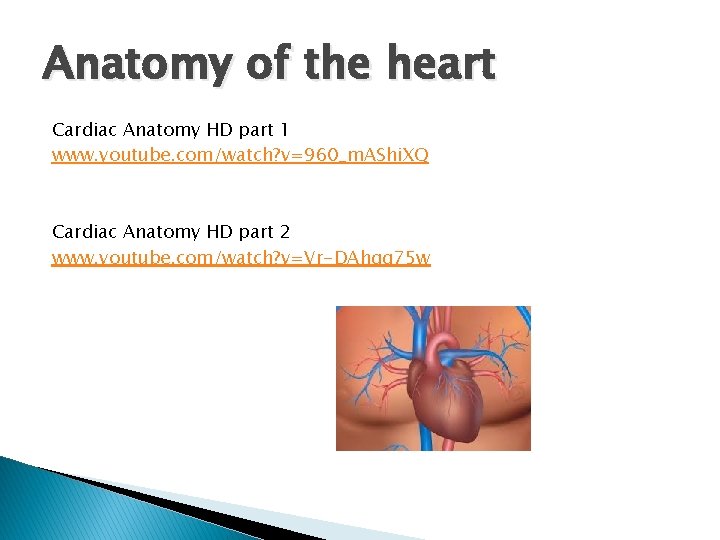 Anatomy of the heart Cardiac Anatomy HD part 1 www. youtube. com/watch? v=960_m. AShi.