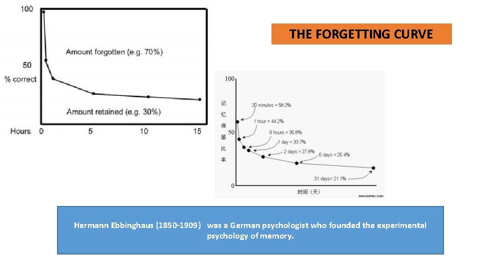 THE FORGETTING CURVE Hermann Ebbinghaus (1850 -1909) was a German psychologist who founded the