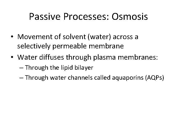 Passive Processes: Osmosis • Movement of solvent (water) across a selectively permeable membrane •