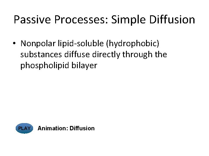 Passive Processes: Simple Diffusion • Nonpolar lipid-soluble (hydrophobic) substances diffuse directly through the phospholipid